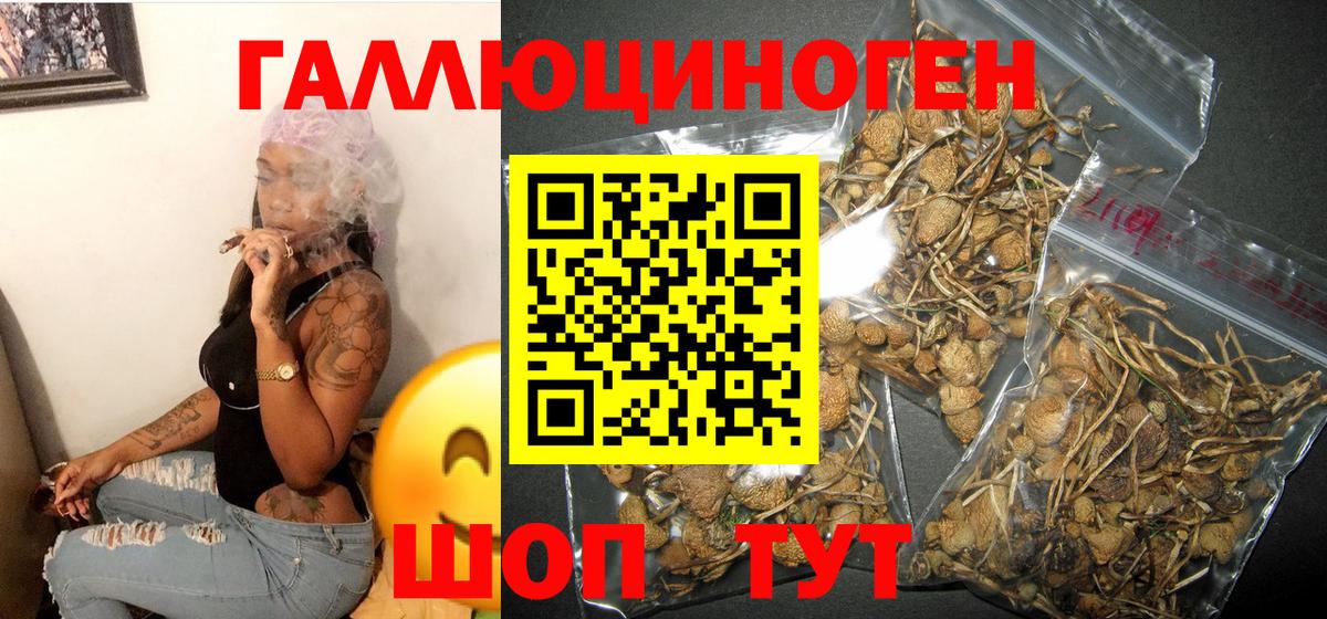 Псилоцибиновые грибы MAGIC MUSHROOMS  Вход с VPN  Пенза 