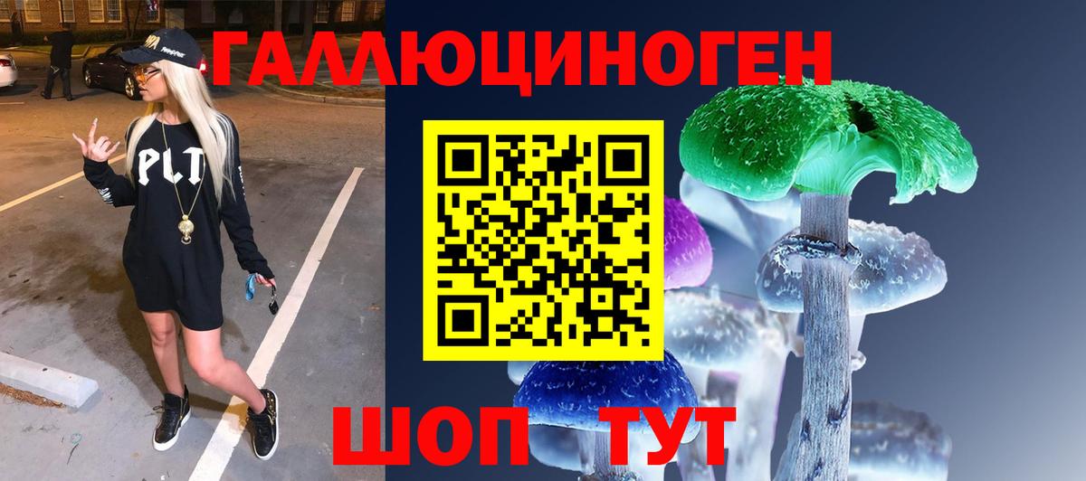 Псилоцибиновые грибы мицелий Пенза
